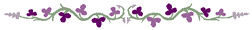Vine